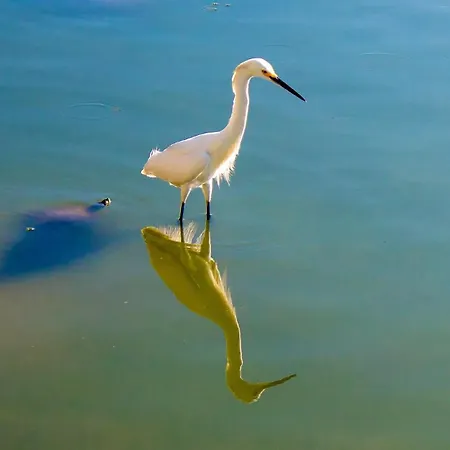 Herdade Dos Salgados * Guia (Faro)